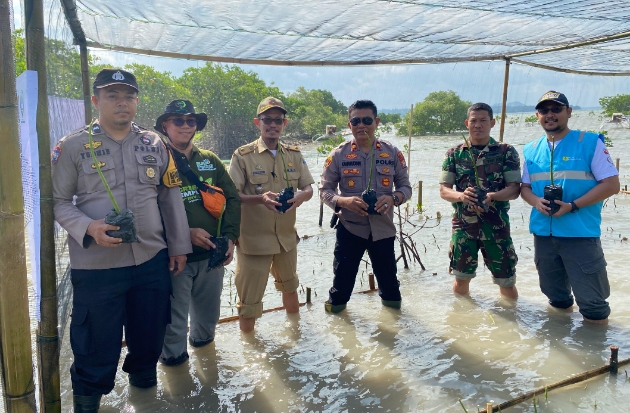 Keren! PLN NP UP Punagaya Bangun Kebun Bibit Rakyat Mangrove
