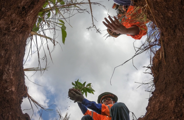 Menjaga Danau Purba Matano Tetap Lestari di Tengah Denyut Industri Nikel