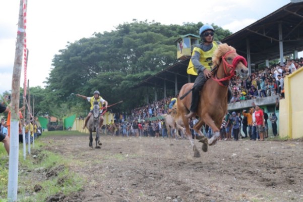 Pemkab Soppeng Kembali Agendakan Lomba Pacuan Kuda