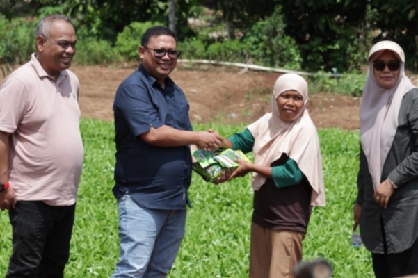 Dinas Pertanian Palopo Salurkan Bibit ke Kelompok Wanita Tani