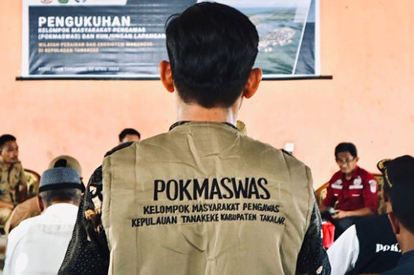 Penebangan Berlebih Mangrove Ancam Keseimbangan Ekosistem Tanakeke