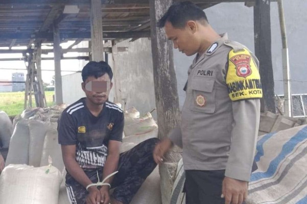 Gagal Curi 7 Gabah, Warga Watampone Kini Ditahan di Mapolsek Tanete Riattang