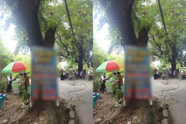 Rusak Keindahan Kota, Warga Makassar Keluhkan Pemasangan Reklame di Pohon