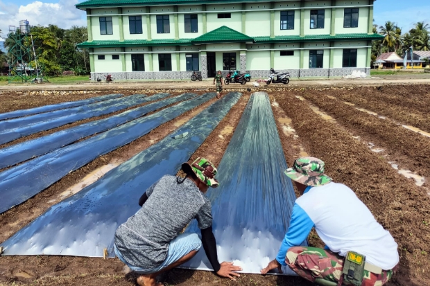 Kampung Hortikultura Bone Diharap Jaga Ketahanan Pangan Lokal