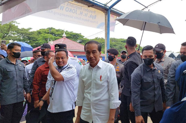 Jokowi Sebut Harga Beras Masih Mahal Meski Masuk Musim Panen Raya