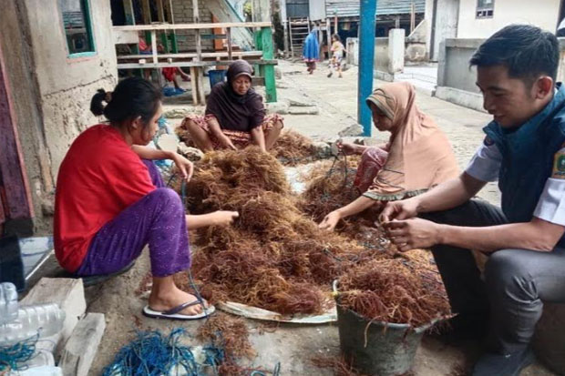 Warga Berharap Camat Baru Bisa Memajukan Pulau Sembilan Sinjai