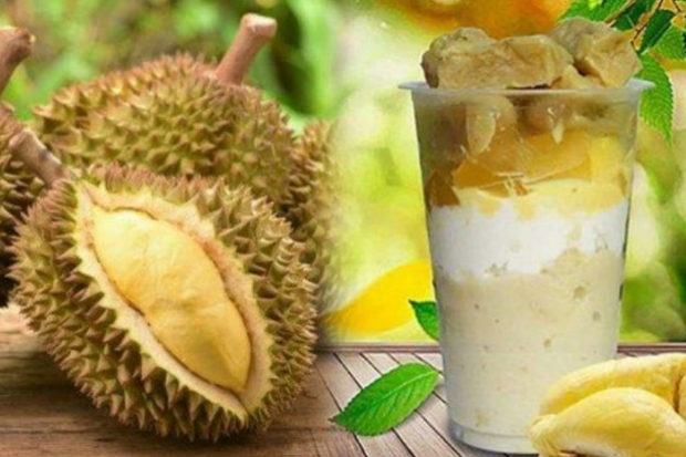 Siap-siap, Kontes Buah Durian Bakal Warnai Event Pesona Luwu Utara