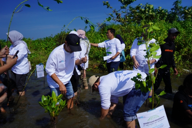 Kolaborasi SPJM dan Komunitas Tanam 1.000 Mangrove di Pantai Pokko Takalar