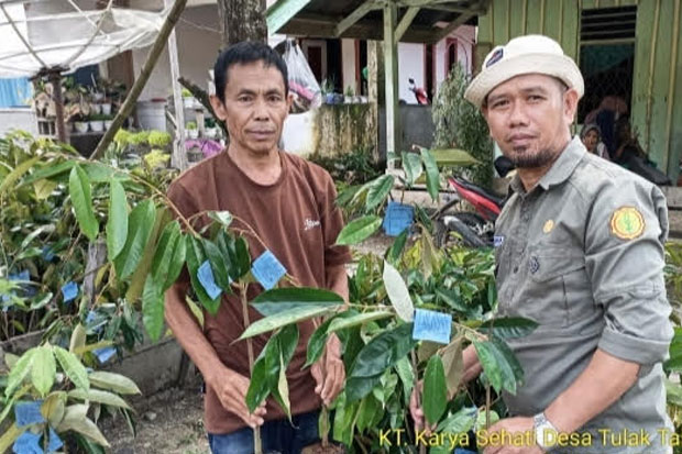 Kementerian Pertanian Bangun Kampung Hortikultura di Luwu Utara