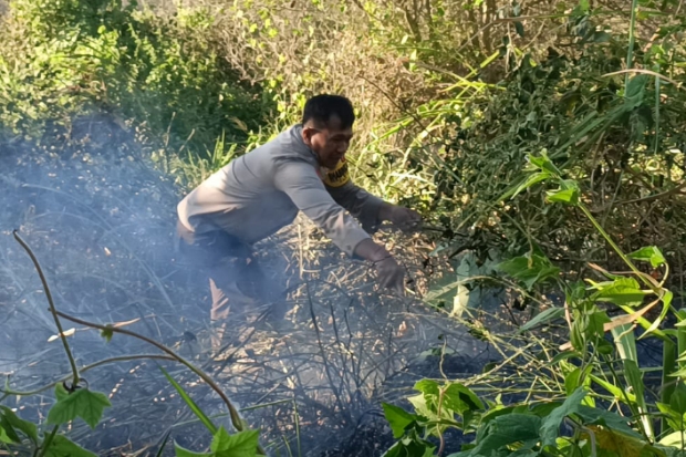 Kebakaran Kebun di Maros, Damkar Padamkan Api Pakai Kayu dan Ranting