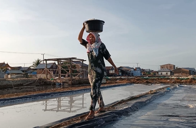 Kemarau Panjang di Bontoa Maros, Lahan Tambak Dialihfungsikan Produksi Garam
