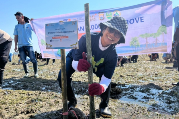 Rayakan 36 Tahun Beroperasi, STP Tanam 2.000 Mangrove di Pantai Cilellang