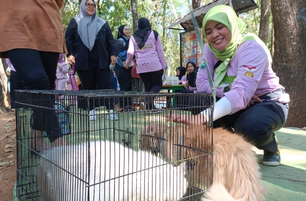 Peringati Hari Rabies Sedunia, Puskeswan Maros Gelar Vaksinasi untuk Kucing & Anjing