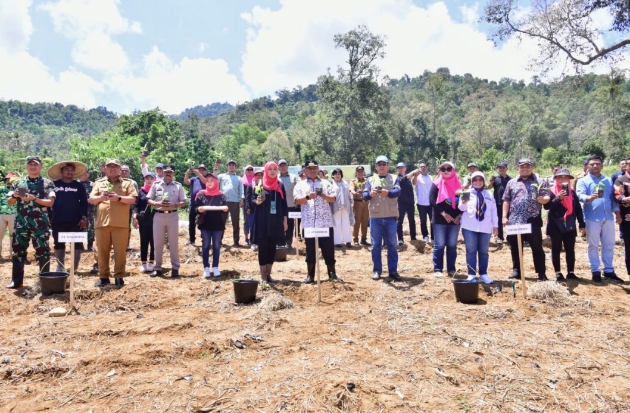 Pemkot Palopo Siapkan Lahan 48 Hektare untuk Budidaya Pisang
