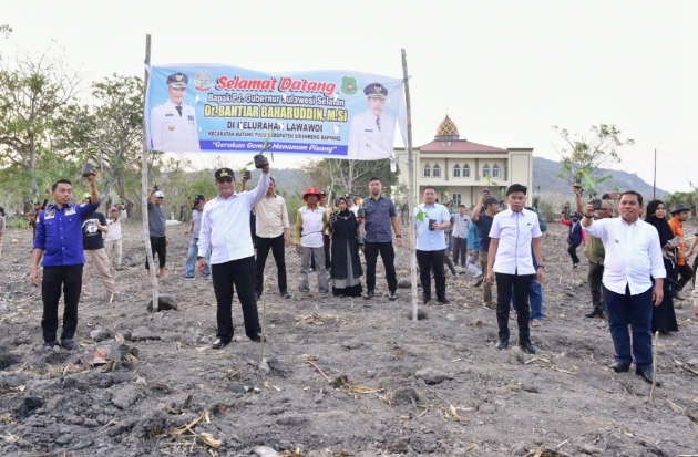 Pemkab Sidrap Siapkan 1.500 Hektare Lahan untuk Budidaya Pisang