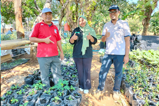 Beri Edukasi, Ramli Manong Bagikan Bibit Tanaman Sayur ke Warga