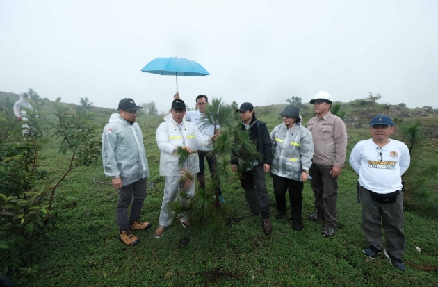 Tanam Pohon di Lappa Laona, Dirjen Planologi KLHK Apresiasi Upaya Vale Rehabilitasi Lahan DAS