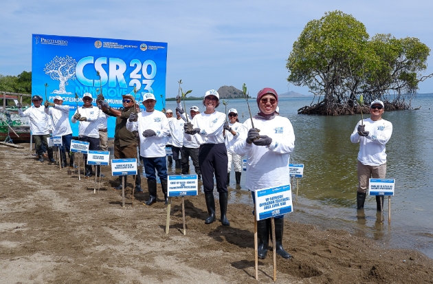 Protelindo Grup Tanam 35 Ribu Bibit Mangrove di Makassar, Kulon Progo, dan Pulau Rinca