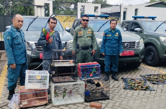 Gakkum KLHK Tangkap 2 Pelaku Perdagangan Satwa Dilindungi Lintas Provinsi di Makassar