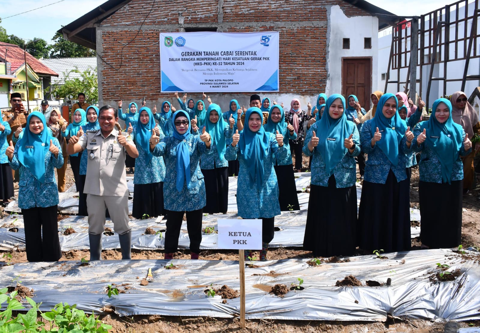 Hari Kesatuan Gerak PKK, Palopo Tanam 100 Bibit Cabai