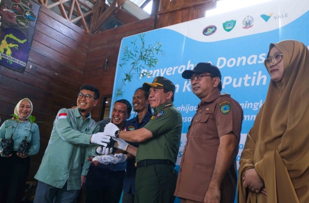 Gencarkan Penghijauan, PT Vale Donasi 5.000 Bibit Pohon di Rammang-rammang