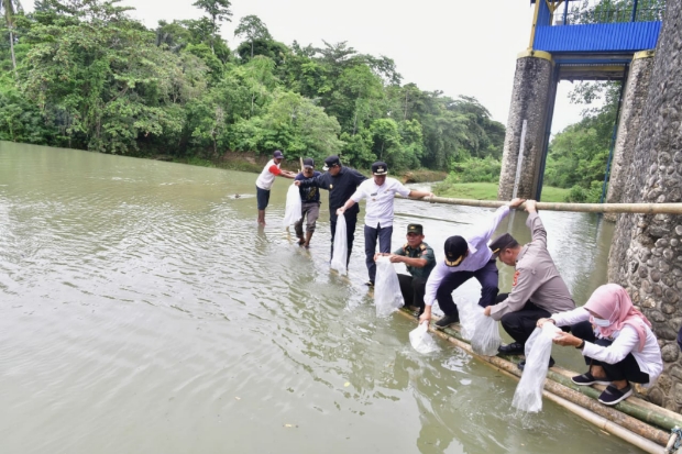 Sudah 2,1 Juta Benih Ikan Air Tawar Ditebar di Kabupaten Bone