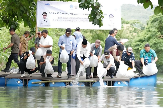 200 Ribu Benih Ikan Nila Ditebar di Kabupaten Barru