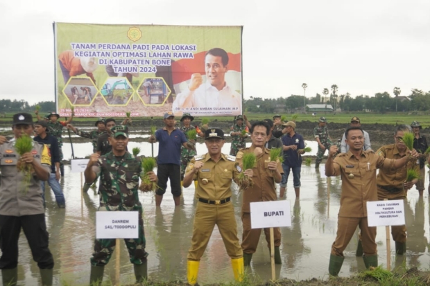 Pemkab Bone bersama TNI Tanam Perdana Optimasi Lahan Rawa
