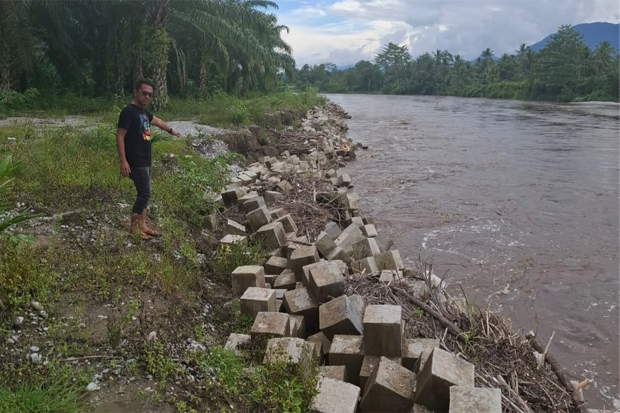 Polres Luwu Timur Selidiki Proyek Tanggul Roboh Sungai Kalaena