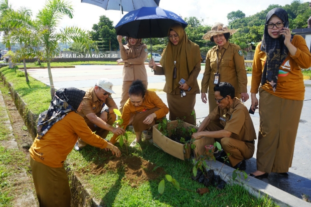 RS Hasri Ainun Parepare Tanam Bibit Pohon Mahoni dan Pucuk Merah Peringati Hari Bumi