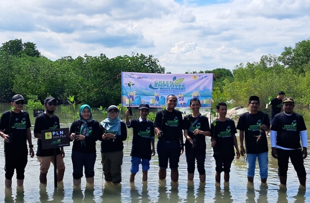 PLN Icon Plus Tanam Mangrove hingga Aksi Bersih Pantai di PPLH Puntondo