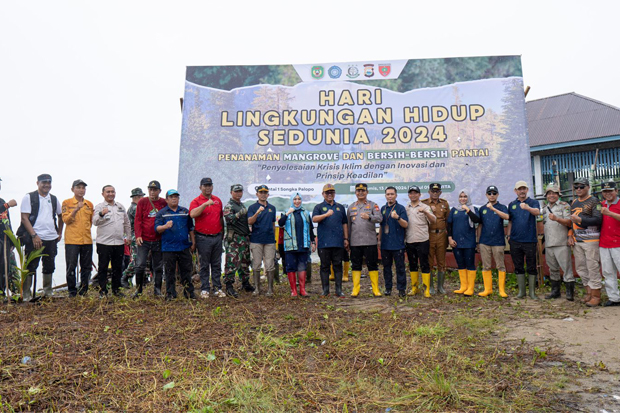 Penanaman Mangrove di Palopo, Peringati Hari Lingkungan Hidup Sedunia