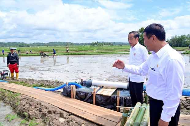 Presiden Jokowi Tinjau Pelaksanaan Bantuan Pompa Irigasi di Bone