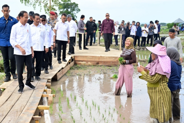 Kunjungi Bantaeng, Presiden Optimistis Produksi Beras Nasional Meningkat