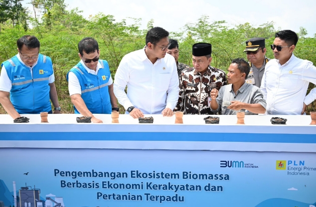 Terus Kembangkan Bahan Co-Firing Biomassa, PLN & Kementan Luncurkan Model Pertanian Terpadu