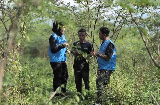 PLN Kembangkan Ekosistem Biomassa: Dikelola Masyarakat, Didukung Pemerintah