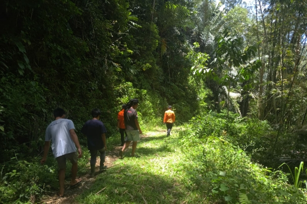 Lansia di Toraja Dilaporkan Hilang Usai Melintas di Hutan Bambu