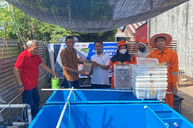 Polipangkep Dorong Peningkatan Produksi dan Keberlanjutan Produk Anggur Laut