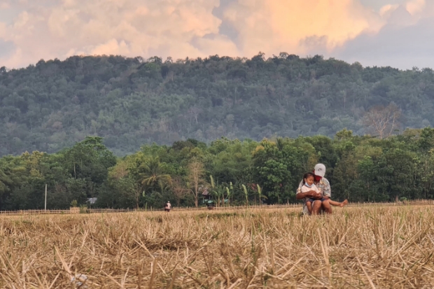 17 Ribu Hektare Lebih Sawah di Maros Tidak Bisa Ditanami