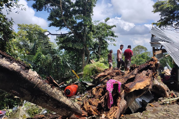 Tertimpa Dahan Pohon Besar, 9 Orang Tewas saat Wisata di Mattabulu