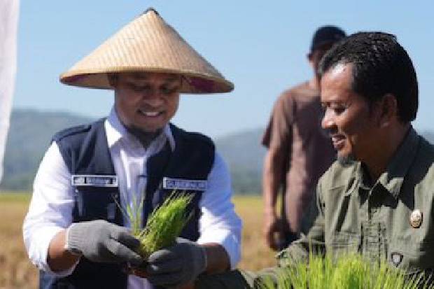 Program Pertanian Andi Sudirman Dinilai Sejalan dengan Upaya Swasembada Pangan