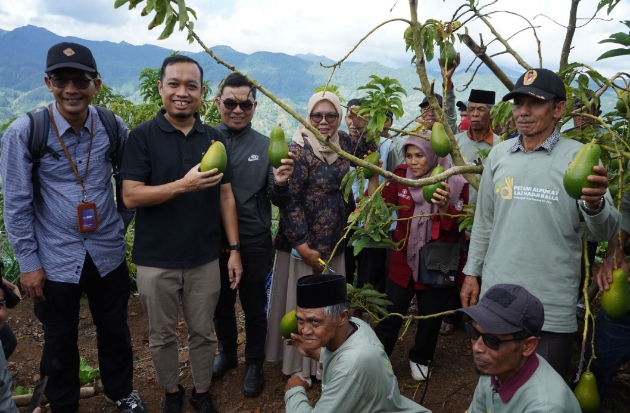 Pendampingan Budidaya Alpukat Sukses, LAZ Hadji Kalla Tingkatkan Ekonomi Desa Tonasa