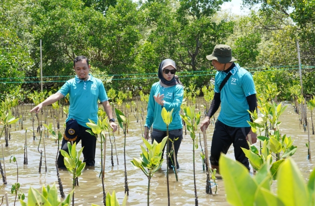 KALLA & Nelayan Lokal Tanam Ribuan Bibit Mangrove di Pangkep