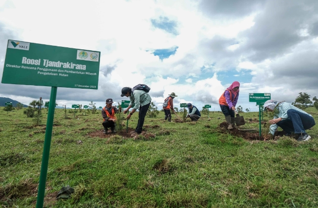 Hadirkan Masa Depan Berkelanjutan: PT Vale Rehabilitasi DAS di 17 Kabupaten se-Sulsel