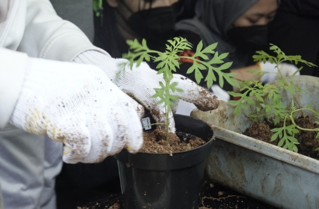 Kolaborasi Bukit Baruga dan Artani Gelar Workshop Berkebun dan Komposting