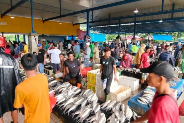 Cuaca Buruk, Picu Kenaikan Harga Ikan di TPI Labuang