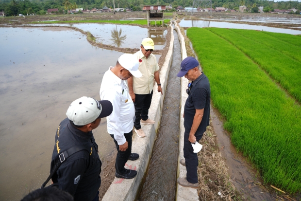 Perbaikan Irigasi Tersier di Bulukumba Berhasil Tingkatkan Hasil Panen Petani