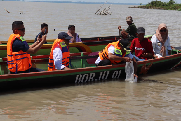 Perkuat Ketahanan Pangan, Pemkab Sidrap Lepas 286 Ribu Ekor Bibit Ikan