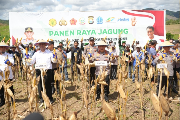 Dukung Ketahanan Pangan Nasional, Kapolri-Mentan Panen Raya Jagung di Bone