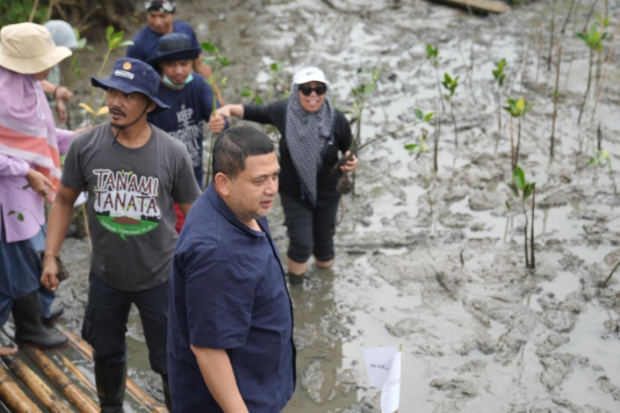 Walkot Munafri Dorong Pemanfaatan Mangrove untuk Lingkungan dan Ekonomi